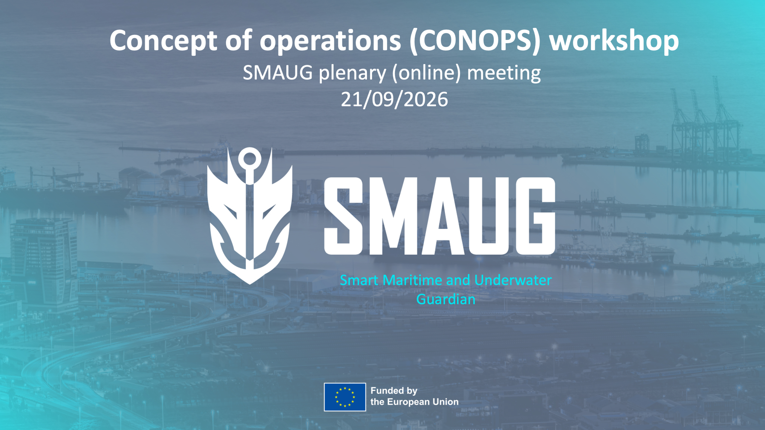 CONOPS Validation Workshop for Maritime Security Operations